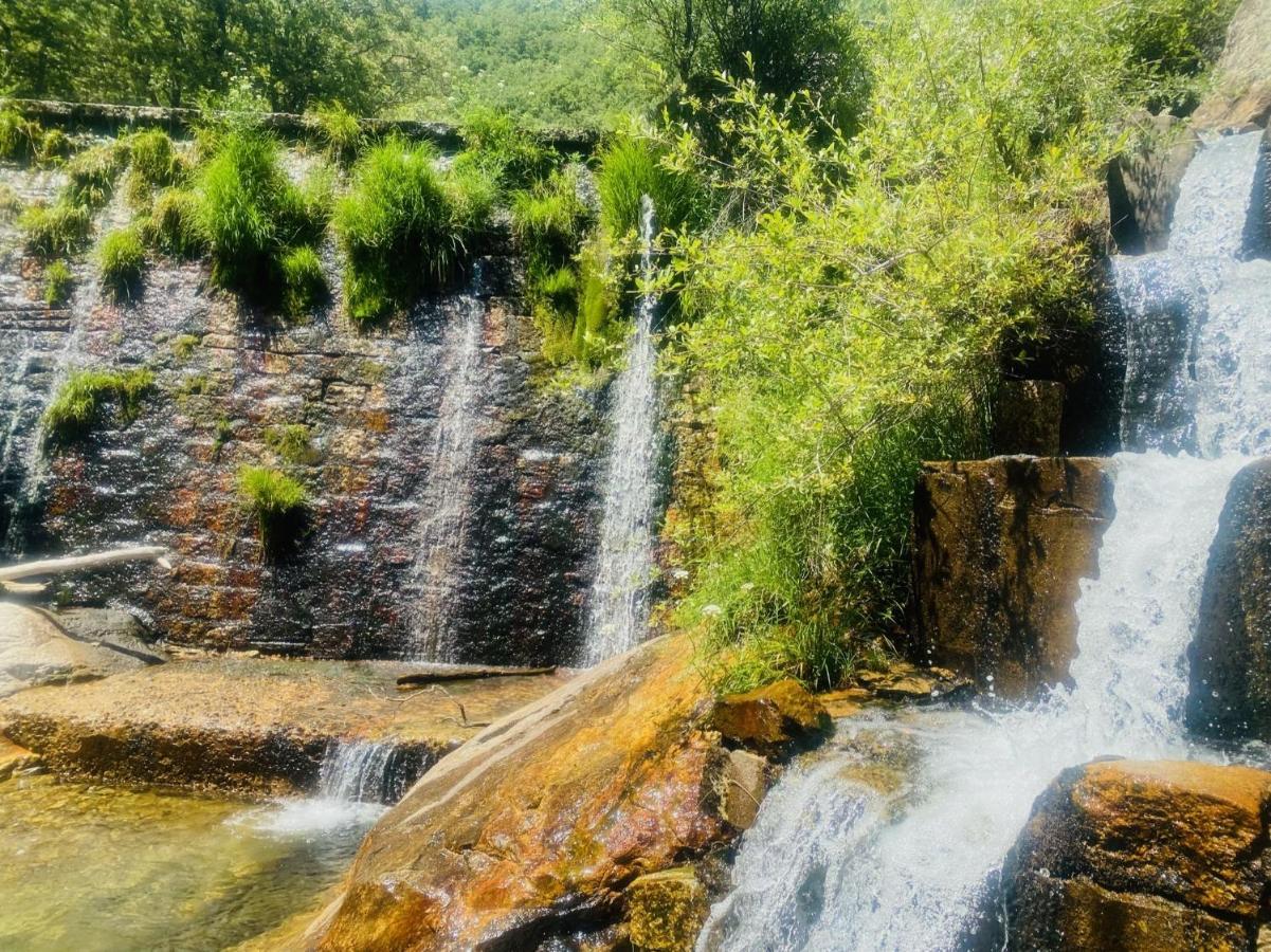 Rascafría El Chalet מראה חיצוני תמונה